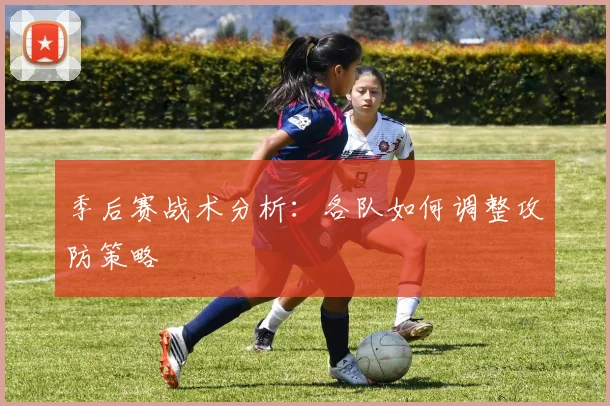 季后赛战术分析：各队如何调整攻防策略