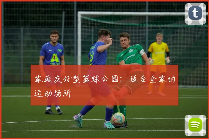 家庭友好型篮球公园:适合全家的运动场所